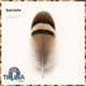 La Brisa Single