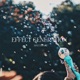 Effect Generation Single