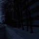 winter Single