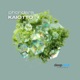 Phondara Single