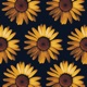 SunFlowerSong Single