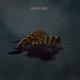Kain Abel Single