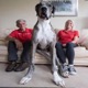 great dane feat 30013 Single