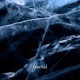 Fractal Single