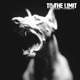 To the Limit Single