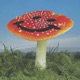 Wonderland EP