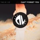 Can t Forget You Single