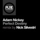 Perfect Destiny Nick Silvestri Remix Single