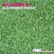 Electronic Picnic Extended Mix Single