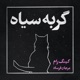 Black Cat feat Marjan Farsad Single