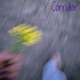 Corridor Single