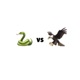Snake vs Eagle Single