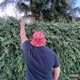 What s the Word Single