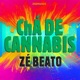 Chá de Cannabis Single