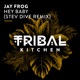 Hey Baby Stev Dive Remix Single