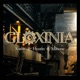 Gloxinia Single