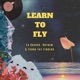 Learn To Fly Single