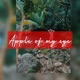 Apple of My Eye Single
