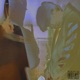 BACK AND FORTH feat BØØGIE Single