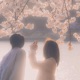 Moon and the Sun Single