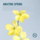 Awaiting Spring EP