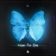 How To Die feat Serhat Kanat Single