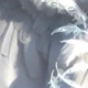 Two White Doves Single