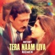 Tera Naam Liya Remix Single