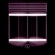 Insane and Trapped Remixes EP
