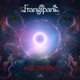 Multiverse Single