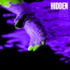 Hidden Aura Single