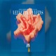 Velvet in My Veins Single
