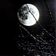night moon feat SABU Single