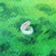 Summer rain Single