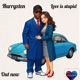 Love is stupid Single