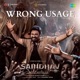 Wrong Usage From Saindhav Single