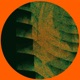 Shadow Opsat Single