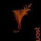 Lost You Single