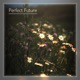 Perfect Future Single