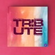 Tribute feat MACHAN BHARATHAN VKDKV THIRUMALI Radio Edit Single