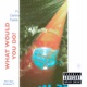 What Would You Do feat Darien Fields Single