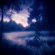 illusory actions Single
