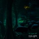 noLight Single