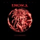 DIOSA Single
