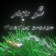 SHU MA SAR feat Shbash Single
