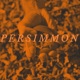 Persimmon Single