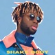 Shake Body Single