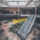 Forest for the Trees Single