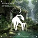 Primal Echo feat Sound of Himalayas Single