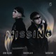 Missing Single